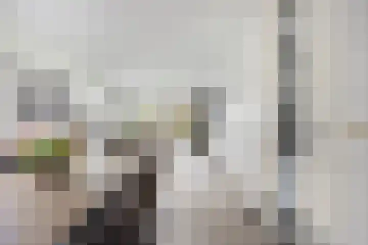 Hoogveldsweg 54 A Echt thumbnail 17