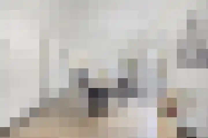 Hoogveldsweg 54 A Echt thumbnail 18