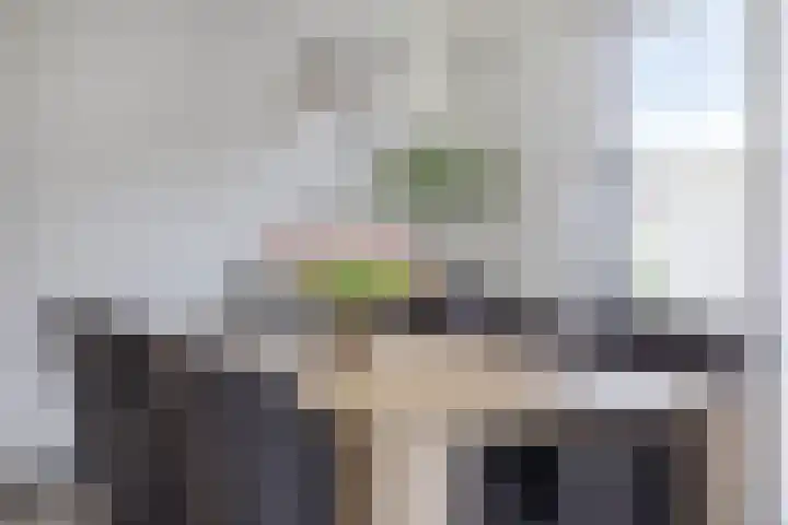 Hoogveldsweg 54 A Echt thumbnail 19