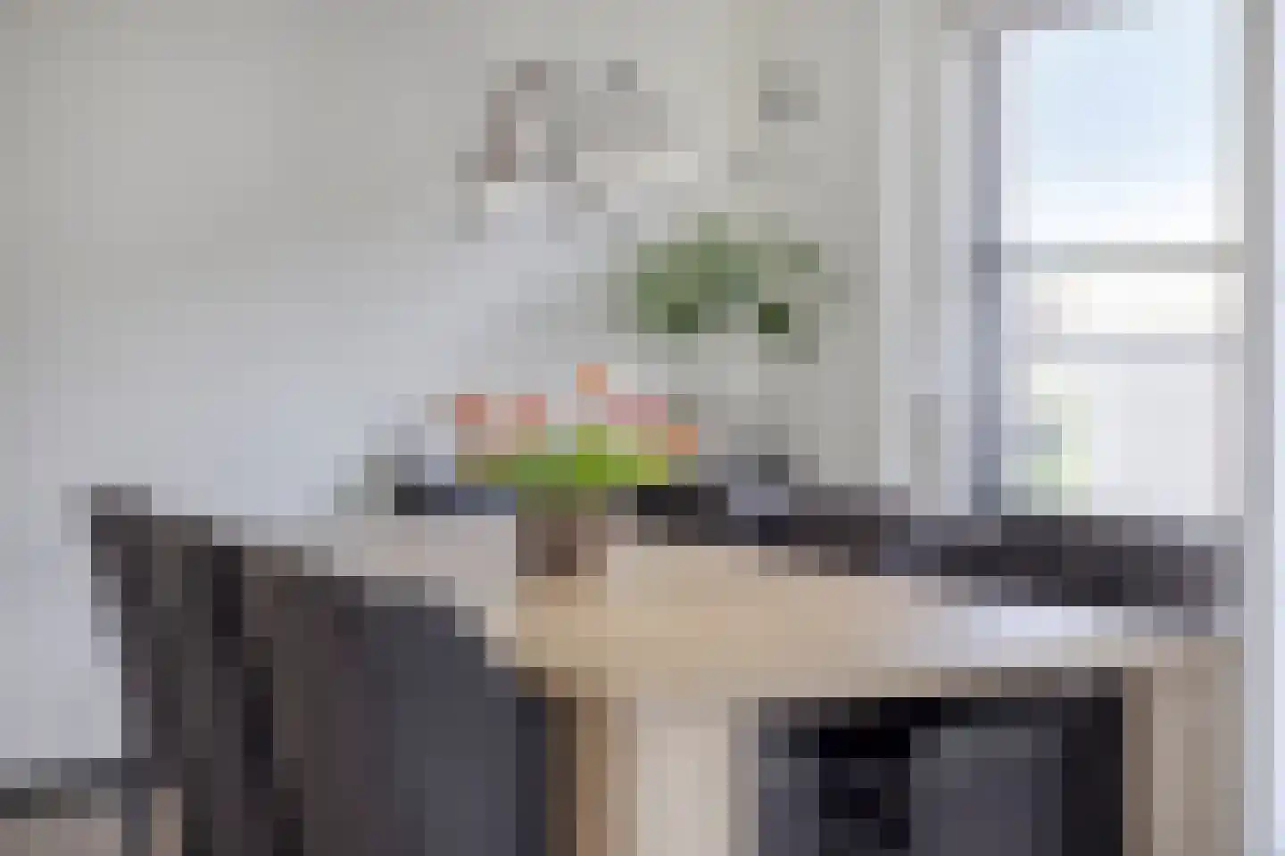 Hoogveldsweg 54 A Echt thumbnail 19