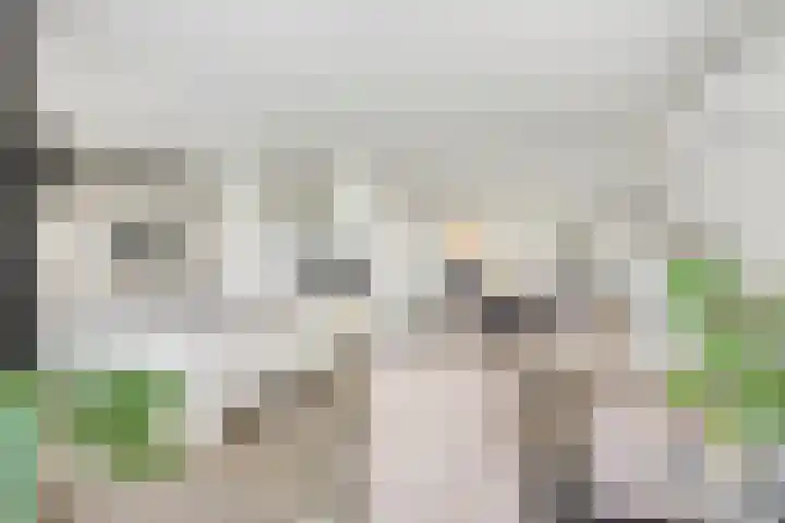 Hoogveldsweg 54 A Echt foto 2