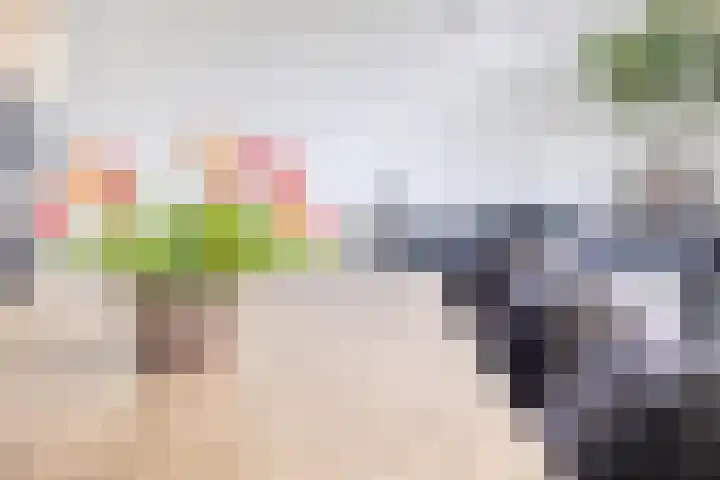 Hoogveldsweg 54 A Echt thumbnail 20