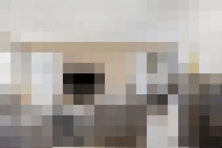Hoogveldsweg 54 A Echt thumbnail 21