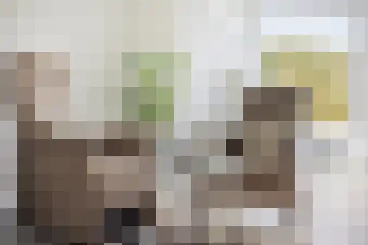 Hoogveldsweg 54 A Echt thumbnail 22