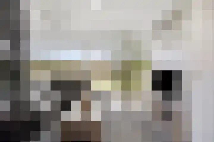 Hoogveldsweg 54 A Echt thumbnail 23