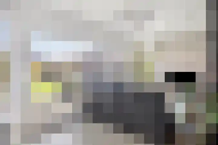 Hoogveldsweg 54 A Echt thumbnail 24