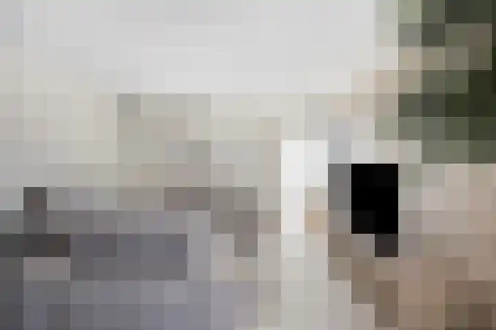 Hoogveldsweg 54 A Echt thumbnail 26