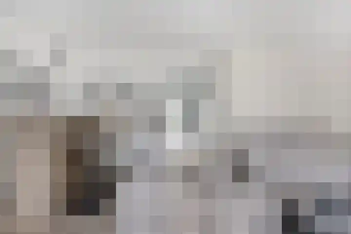 Hoogveldsweg 54 A Echt thumbnail 27