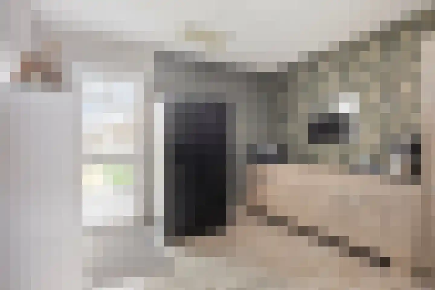 Hoogveldsweg 54 A Echt thumbnail 28