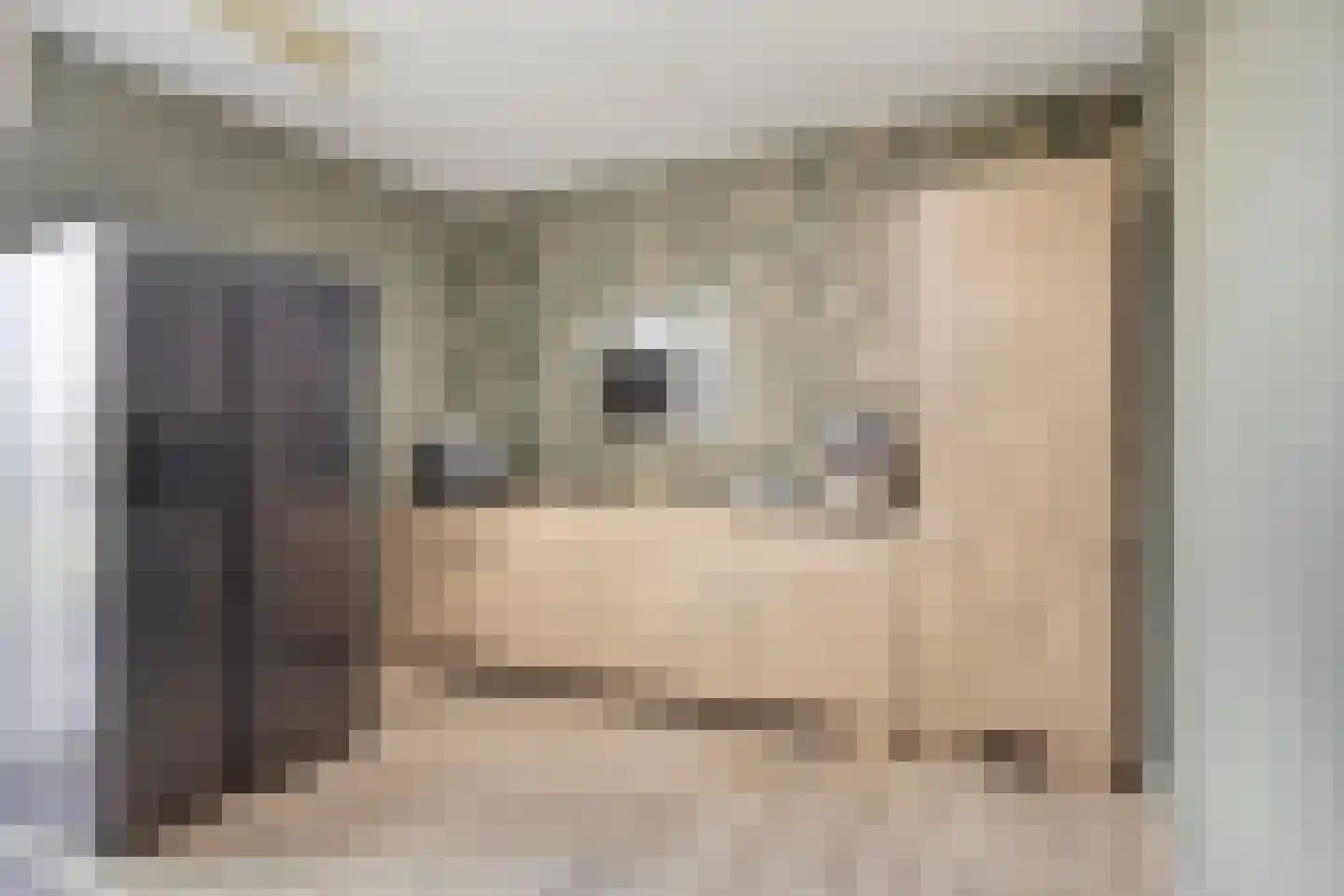 Hoogveldsweg 54 A Echt thumbnail 29