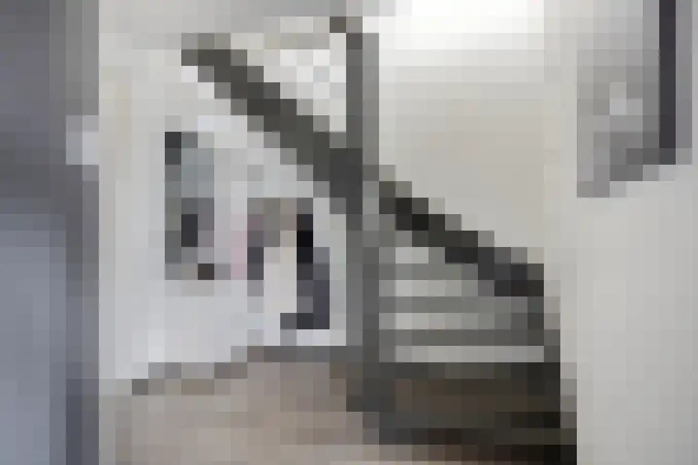 Hoogveldsweg 54 A Echt thumbnail 33