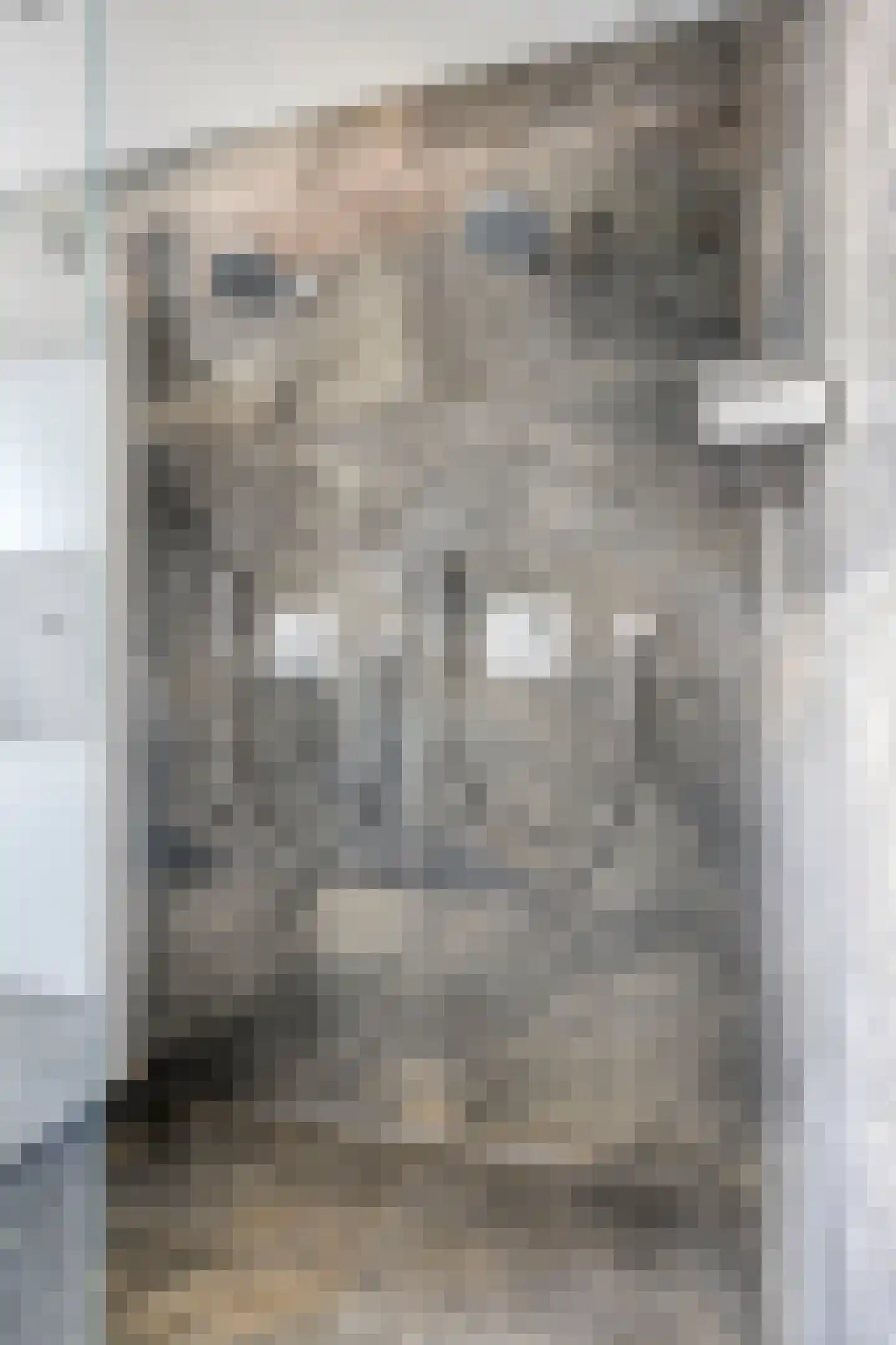 Hoogveldsweg 54 A Echt thumbnail 37