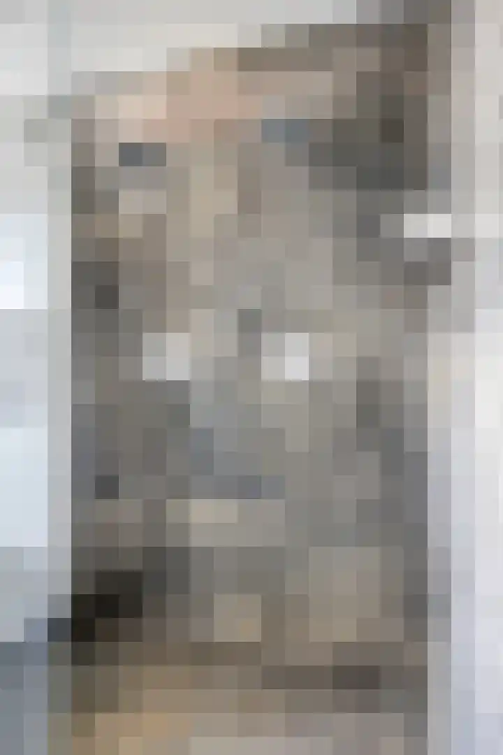 Hoogveldsweg 54 A Echt thumbnail 37