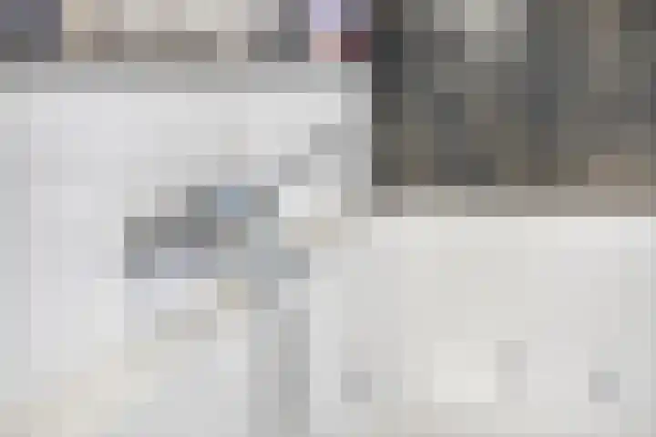 Hoogveldsweg 54 A Echt thumbnail 38