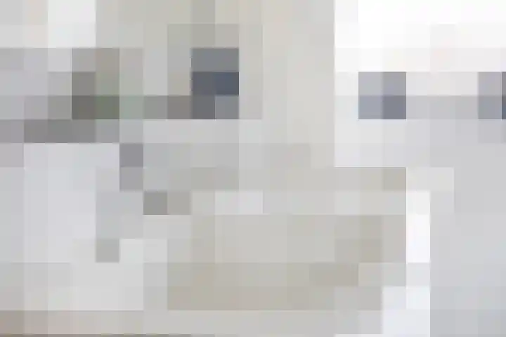 Hoogveldsweg 54 A Echt thumbnail 40