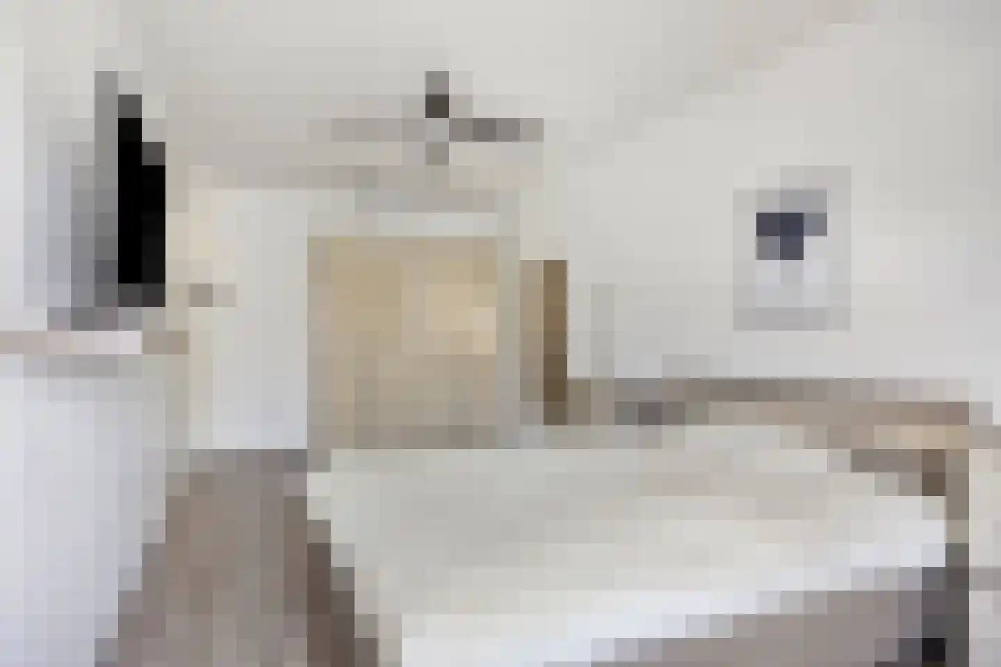 Hoogveldsweg 54 A Echt thumbnail 42