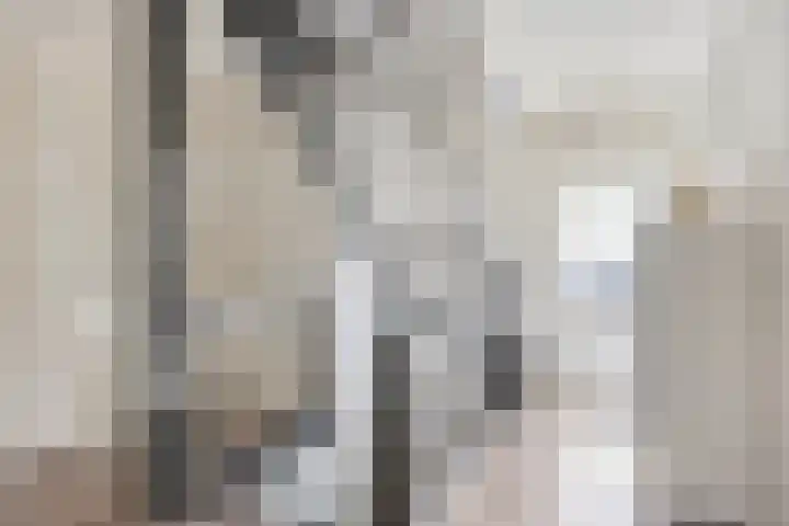 Hoogveldsweg 54 A Echt thumbnail 48
