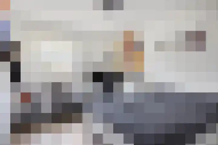 Hoogveldsweg 54 A Echt thumbnail 49
