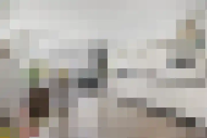 Hoogveldsweg 54 A Echt thumbnail 5