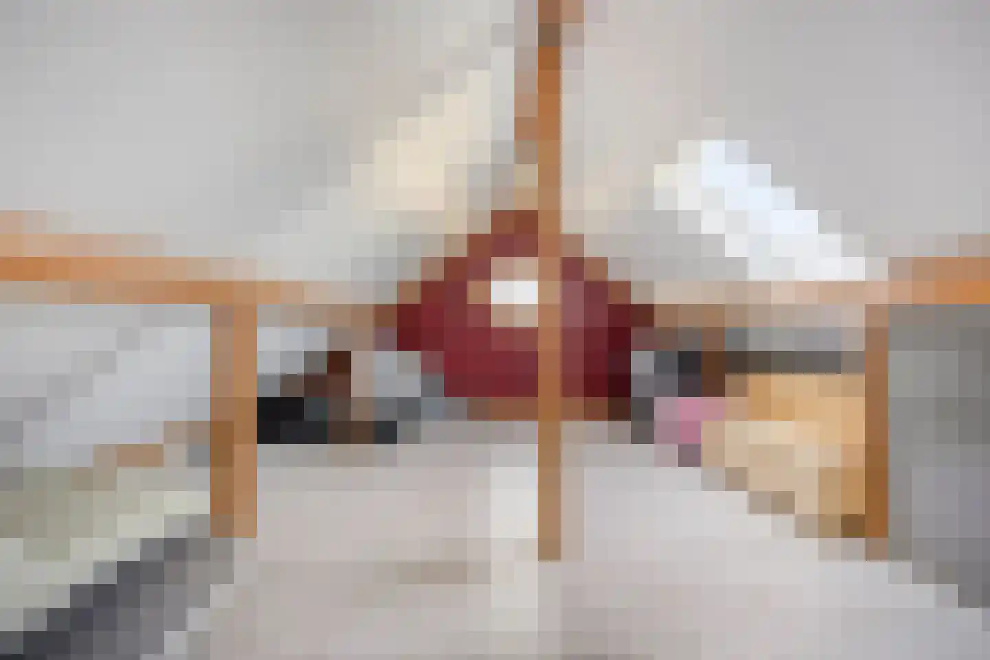 Hoogveldsweg 54 A Echt thumbnail 52
