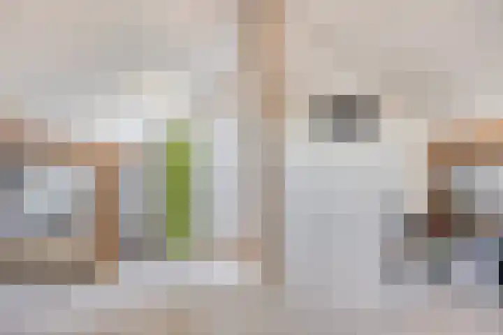 Hoogveldsweg 54 A Echt thumbnail 55