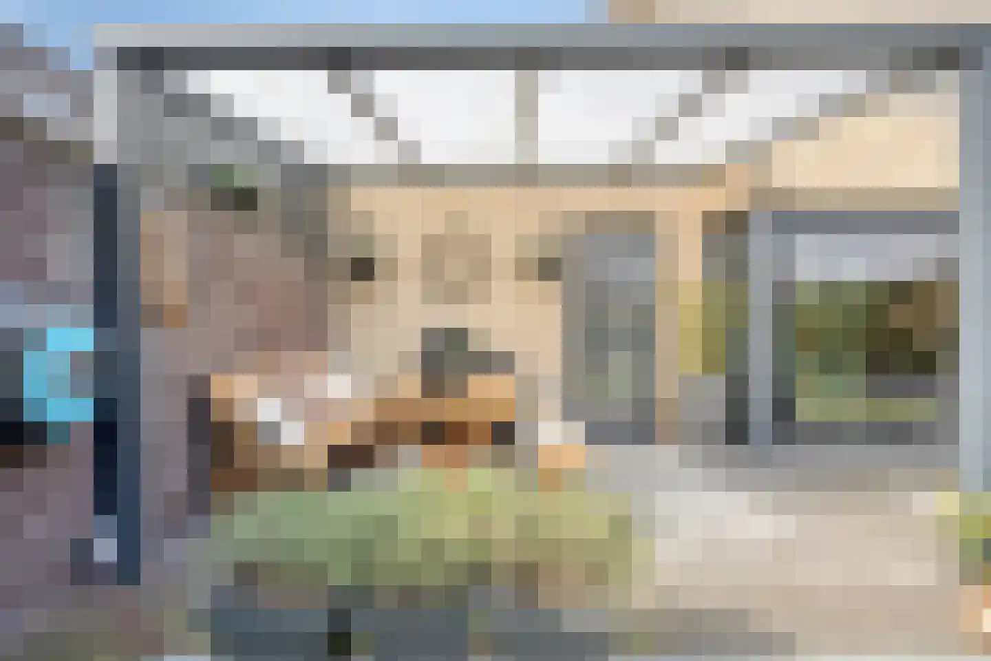 Hoogveldsweg 54 A Echt thumbnail 59