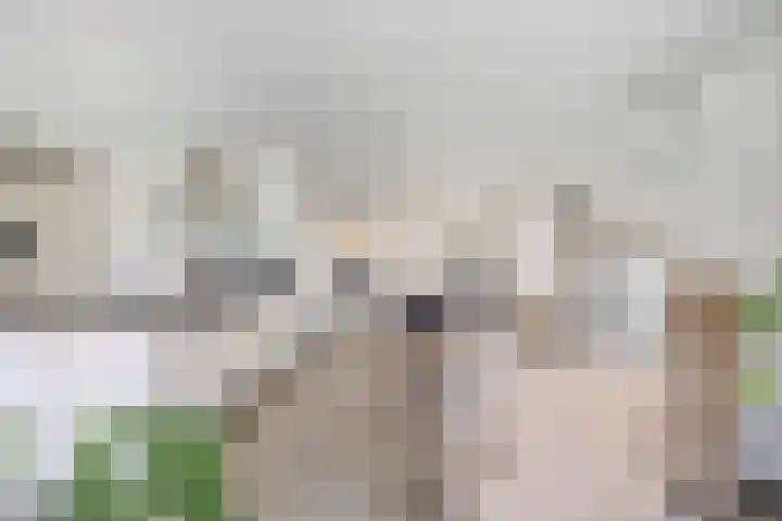 Hoogveldsweg 54 A Echt thumbnail 6