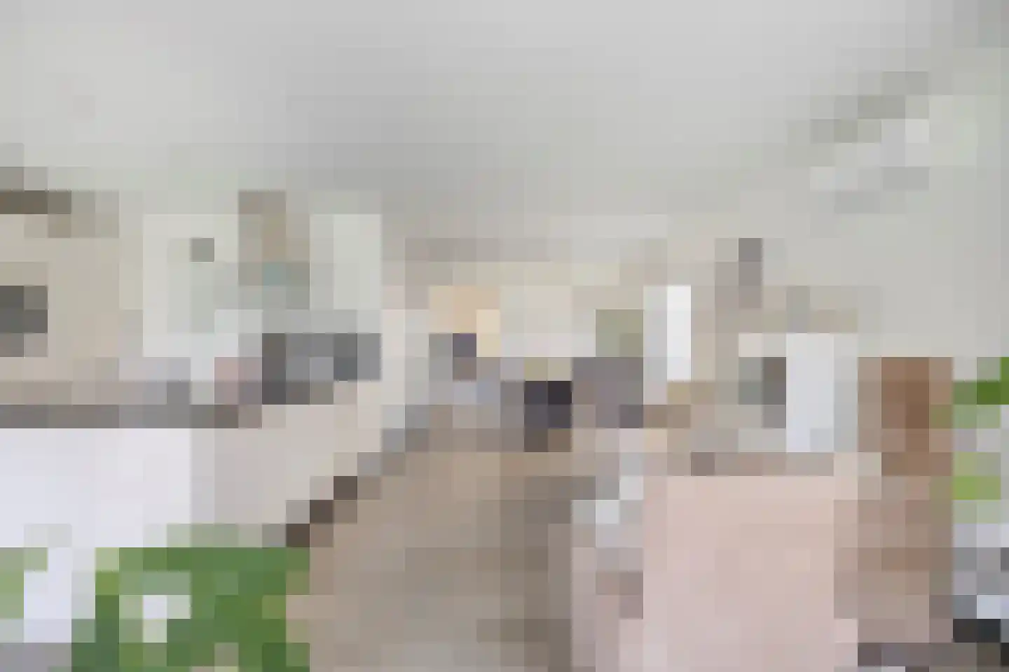 Hoogveldsweg 54 A Echt thumbnail 6