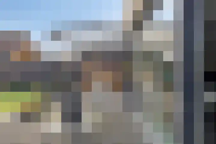 Hoogveldsweg 54 A Echt thumbnail 60