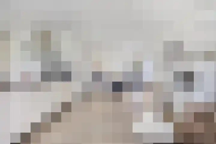Hoogveldsweg 54 A Echt thumbnail 7