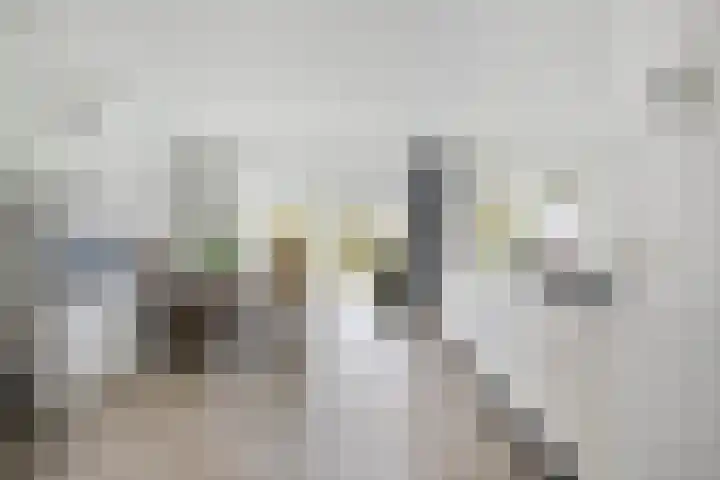Hoogveldsweg 54 A Echt thumbnail 8