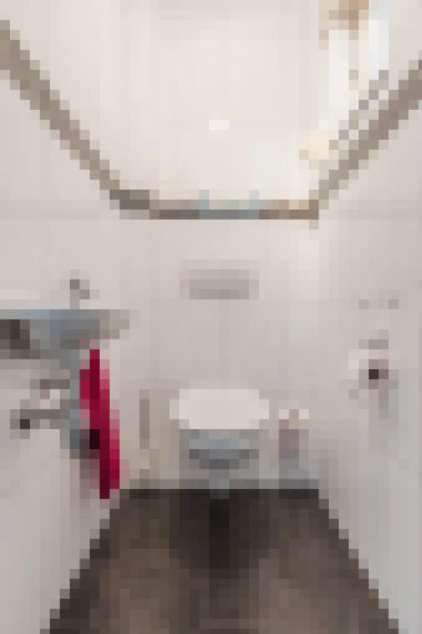 Hoogveldsweg 54 C Echt thumbnail 11