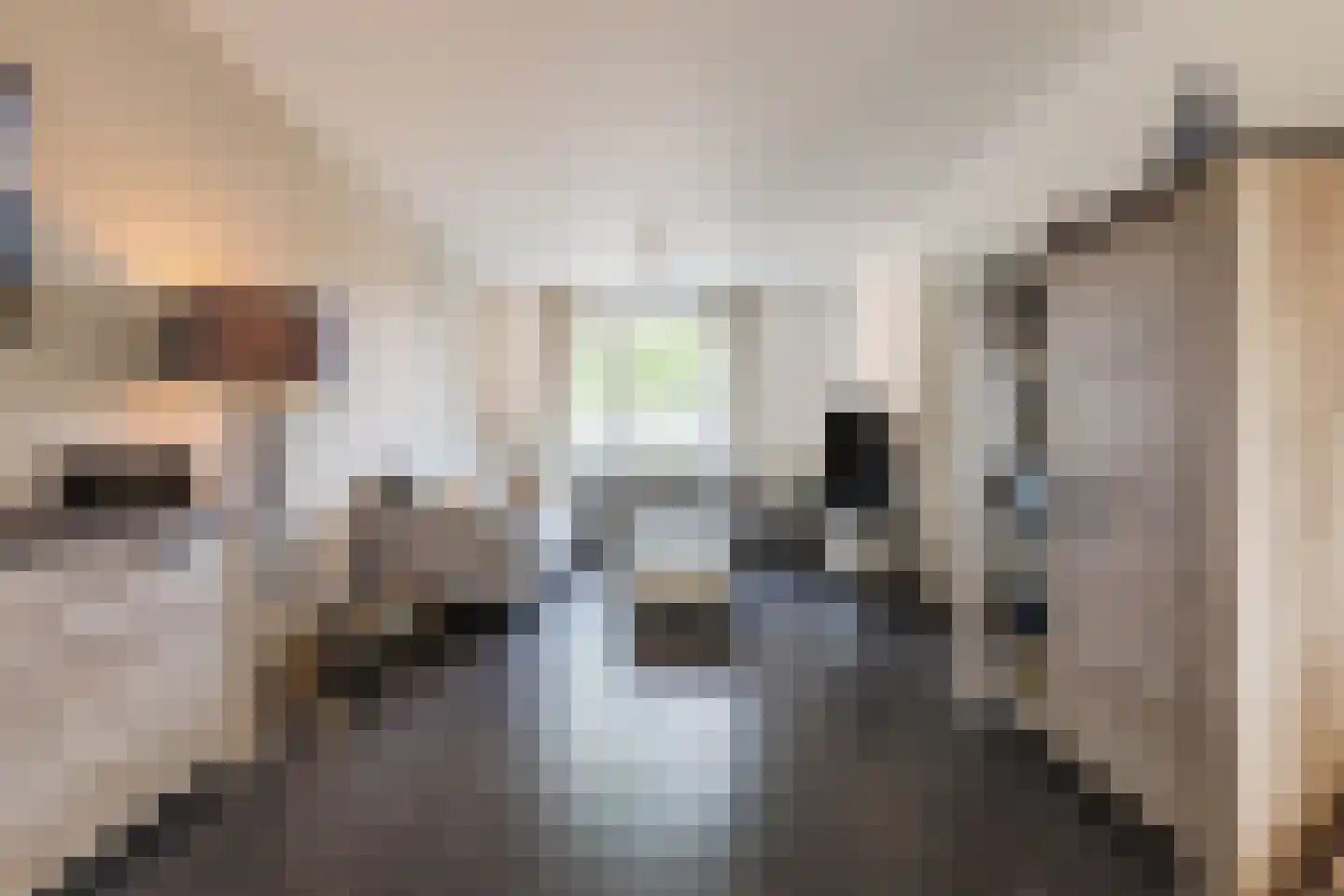 Hoogveldsweg 54 C Echt thumbnail 14