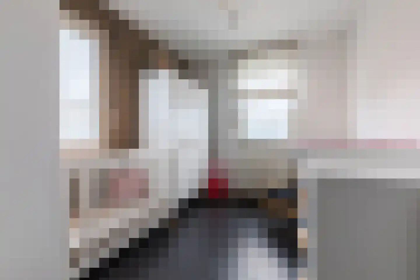 Hoogveldsweg 54 C Echt thumbnail 26