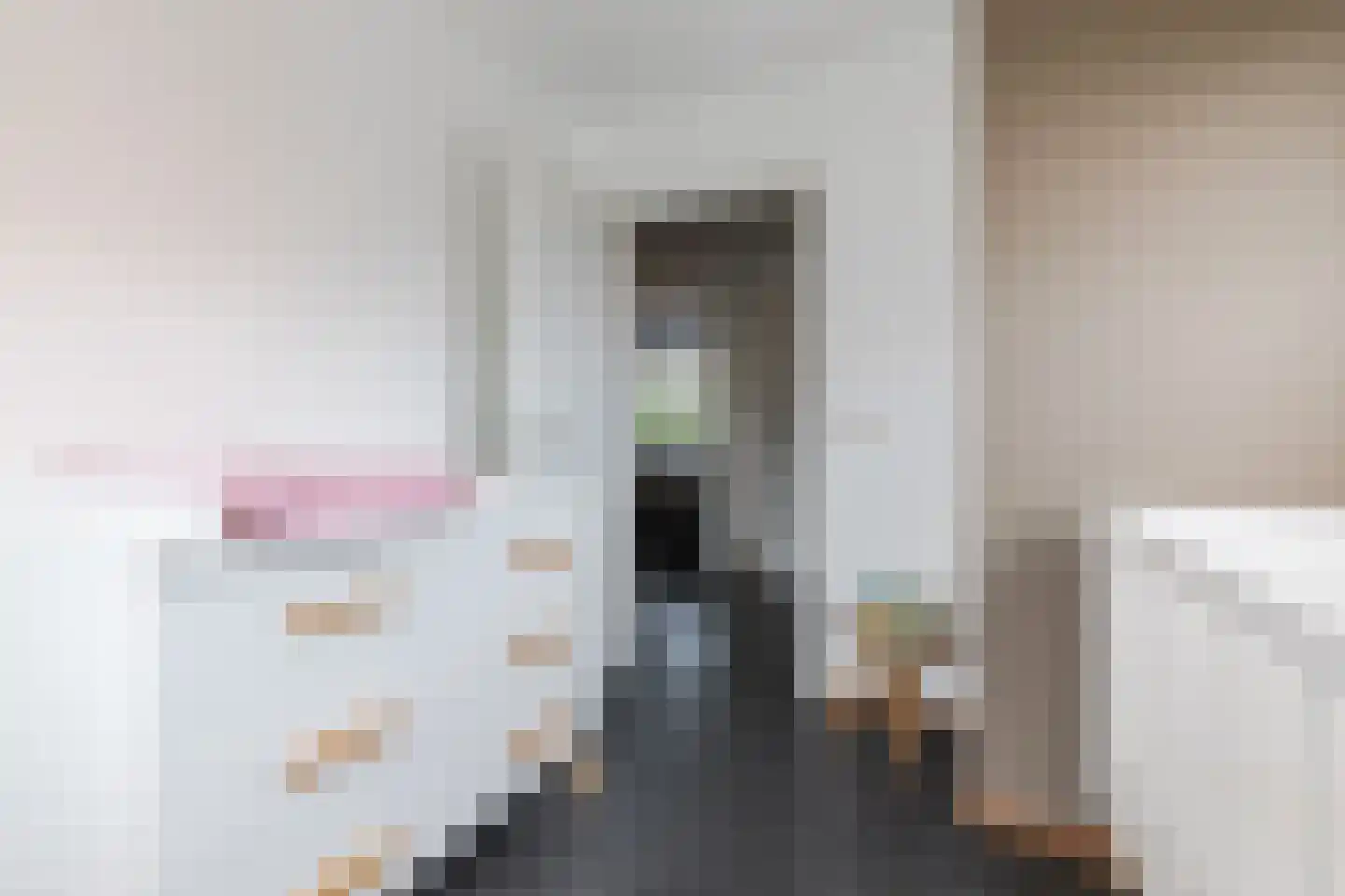 Hoogveldsweg 54 C Echt thumbnail 27