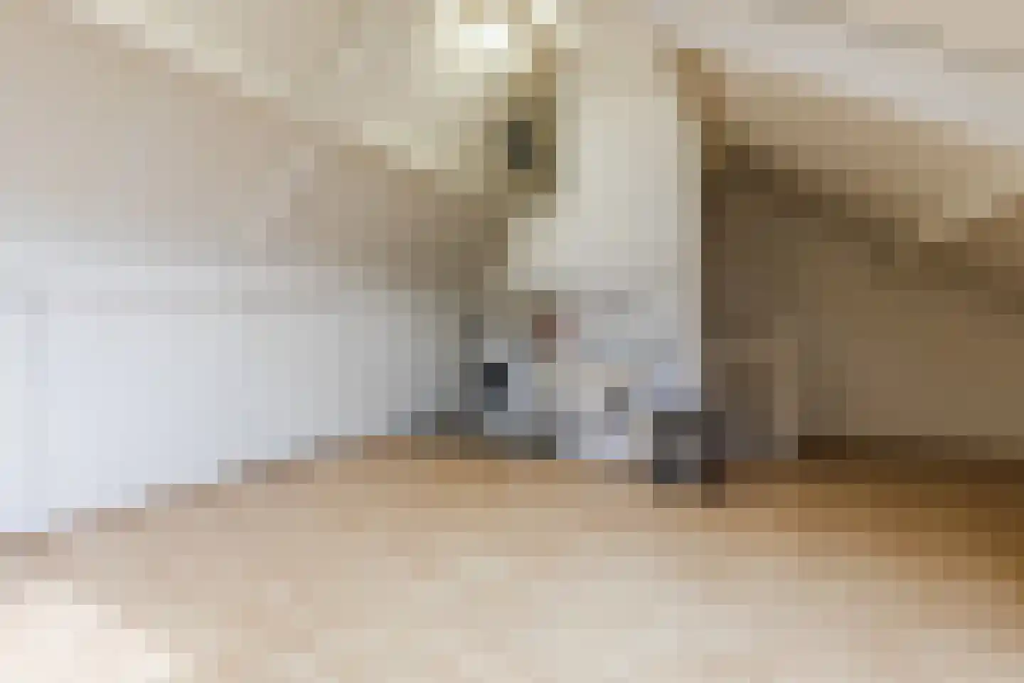 Hoogveldsweg 54 C Echt thumbnail 33