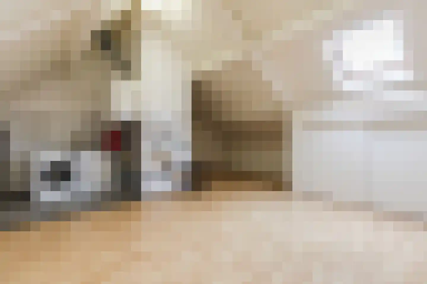 Hoogveldsweg 54 C Echt thumbnail 34