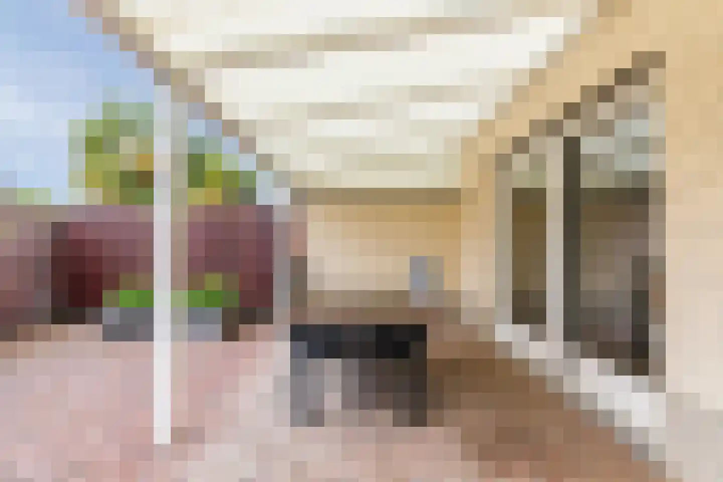 Hoogveldsweg 54 C Echt thumbnail 38