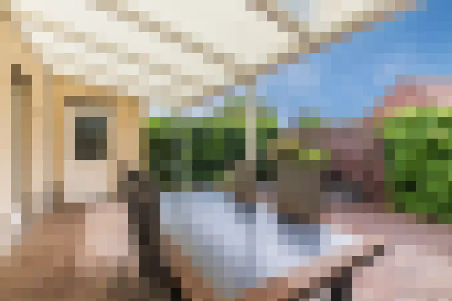 Hoogveldsweg 54 C Echt thumbnail 39