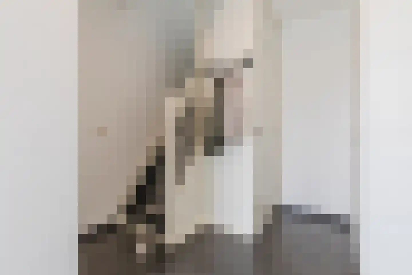 Hoogveldsweg 54 C Echt thumbnail 8