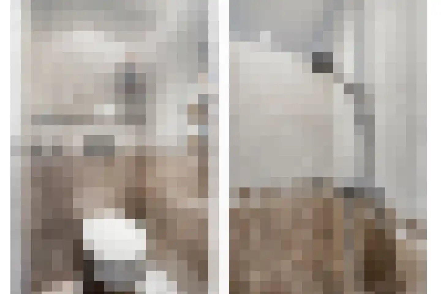 Hoogveldsweg 7 Echt thumbnail 14