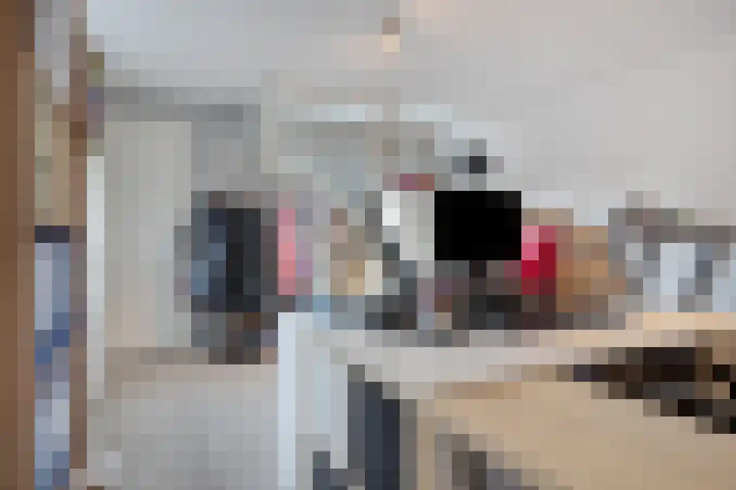 Hoogveldsweg 7 Echt thumbnail 17