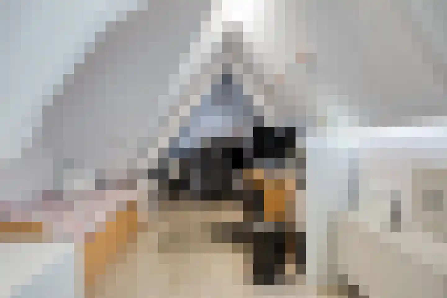 Hoogveldsweg 7 Echt thumbnail 24