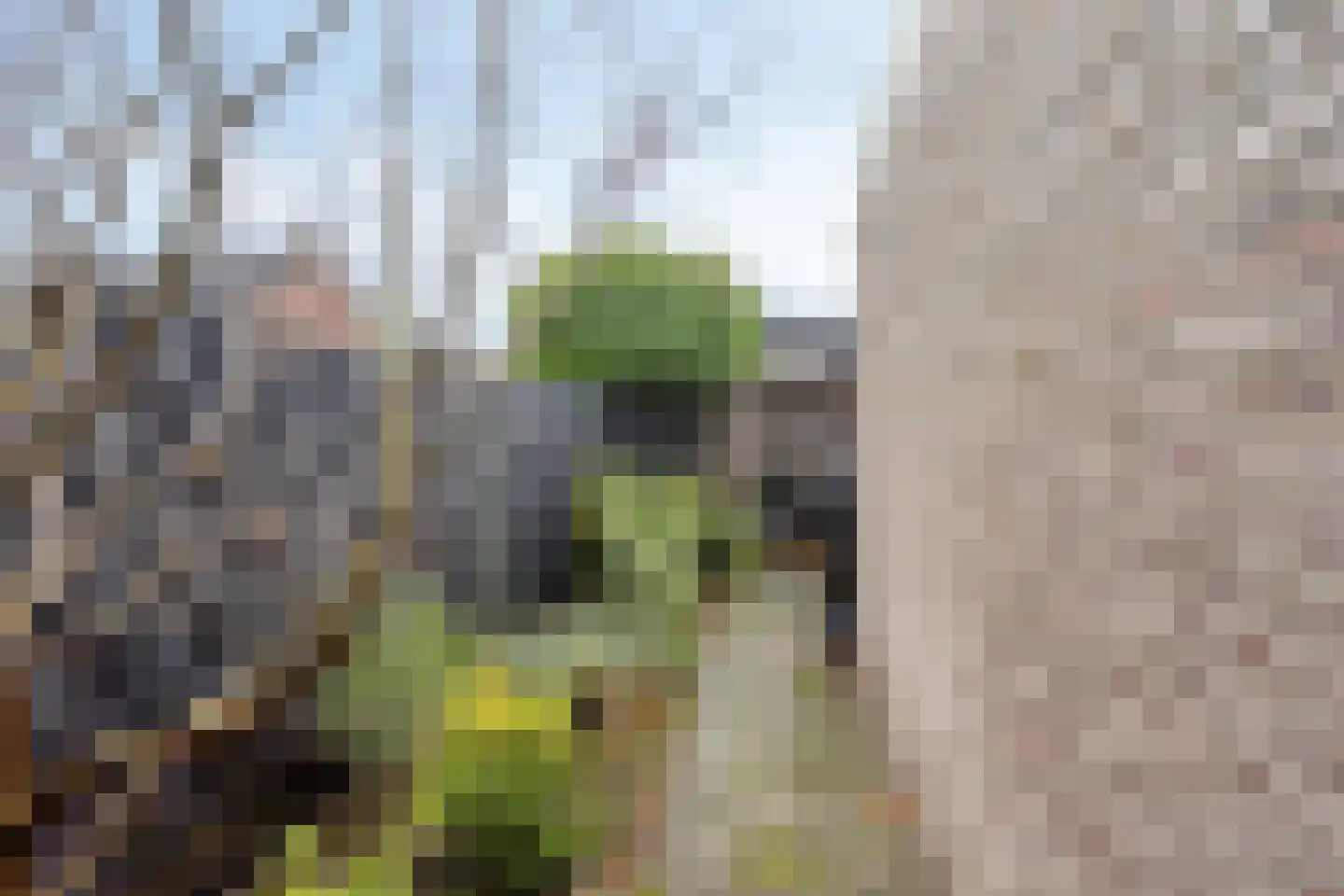 Hoogveldsweg 7 Echt thumbnail 34