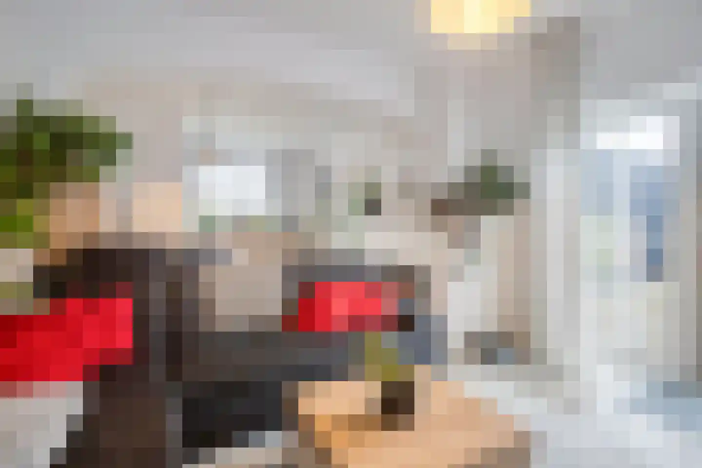 Hoogveldsweg 7 Echt thumbnail 6