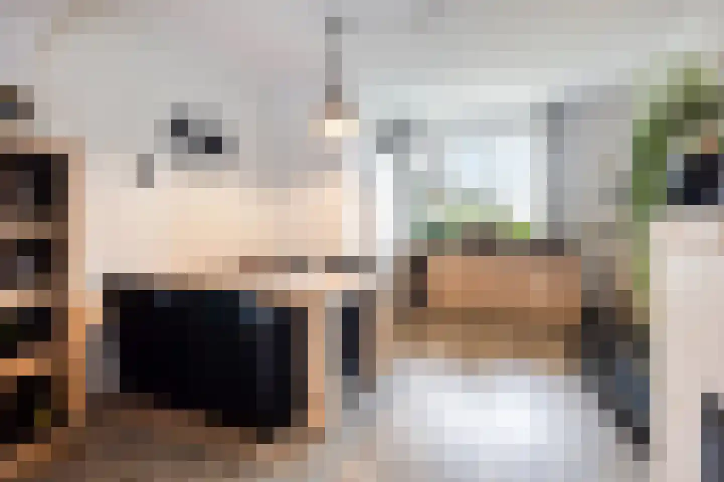 Hoogveldsweg 7 Echt thumbnail 7