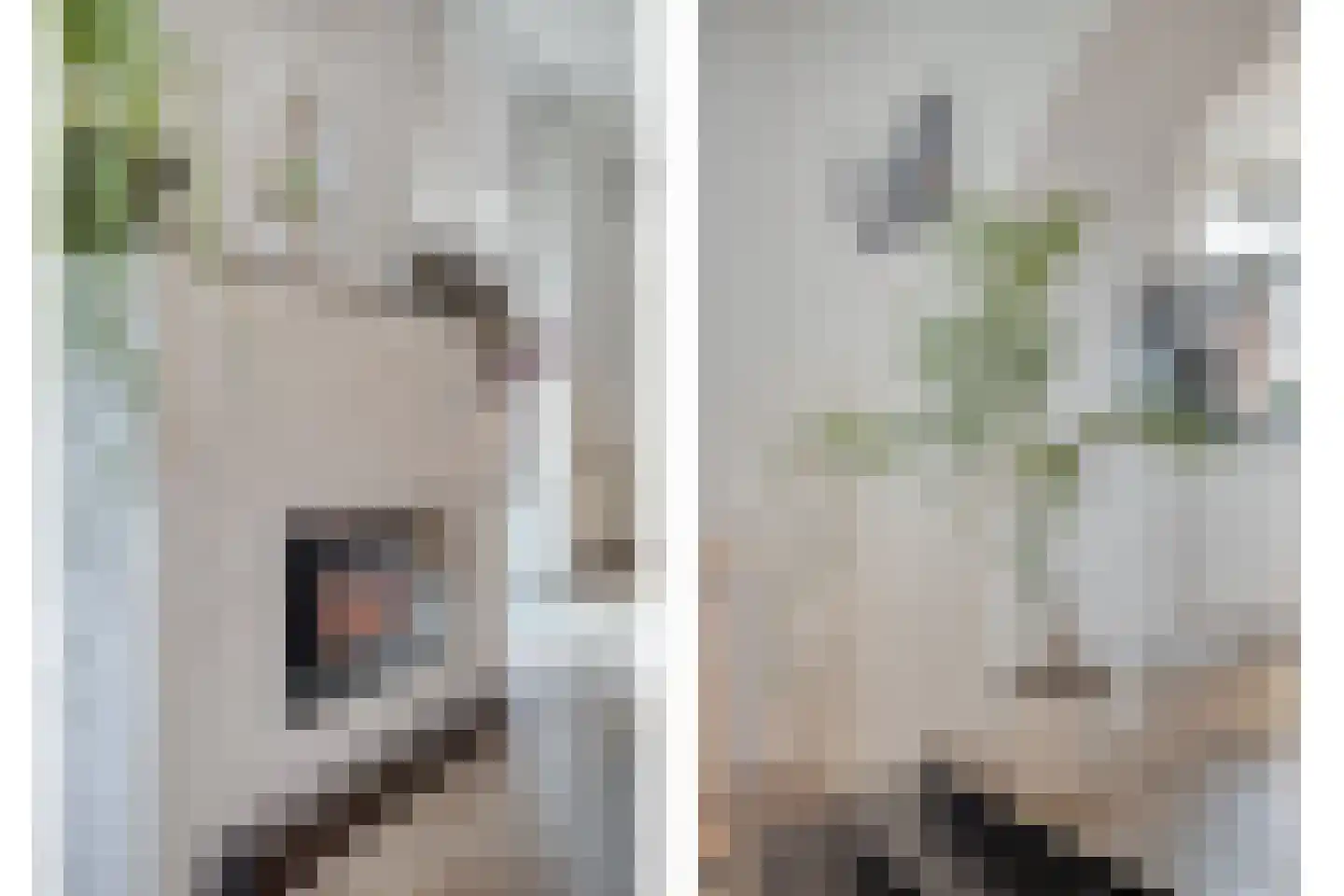 Hoogveldsweg 7 Echt thumbnail 8