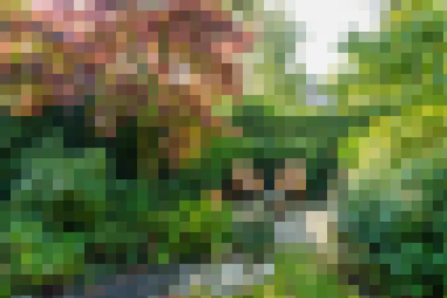 Hoogveldweg 22 's-Hertogenbosch thumbnail 19