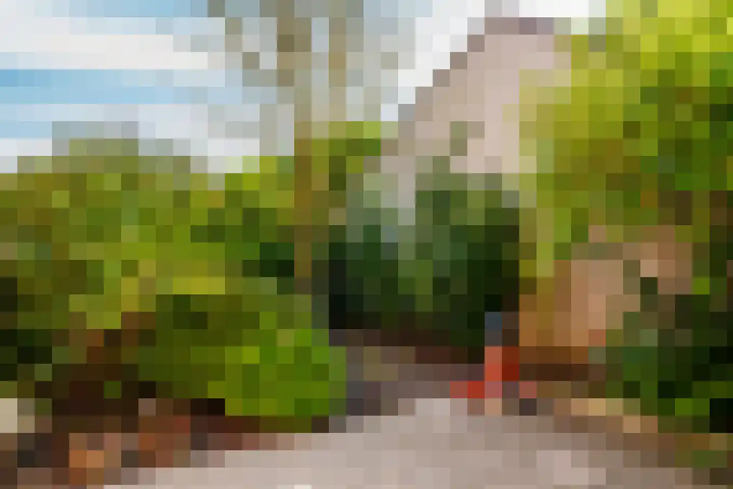 Hoogveldweg 22 's-Hertogenbosch thumbnail 21