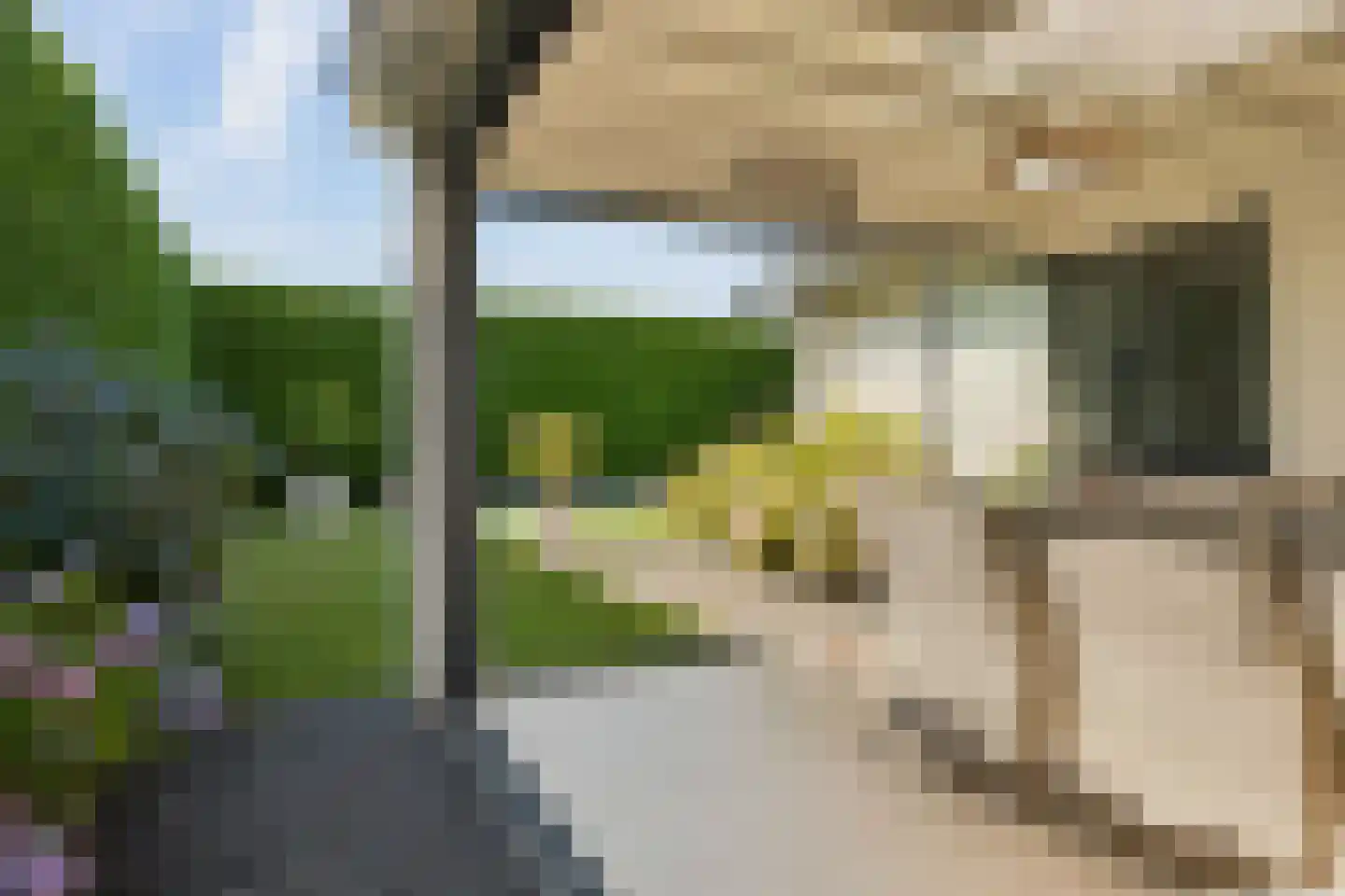 Hoogveldweg 37 's-Hertogenbosch thumbnail 18